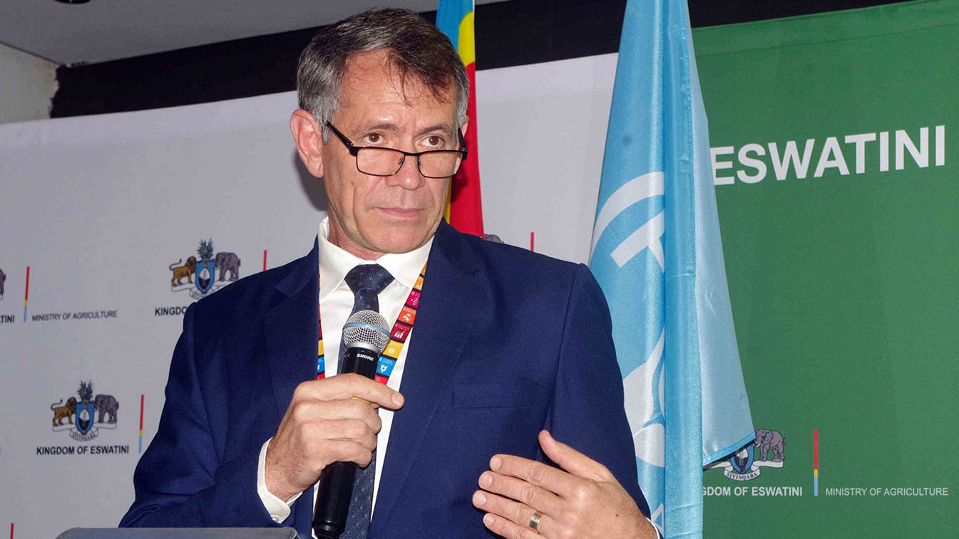 Eswatini broadens economy through diversification – Neal 